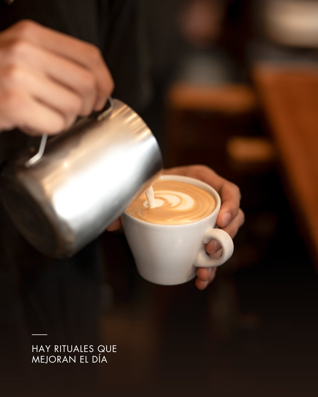 Barra · café de especialidad